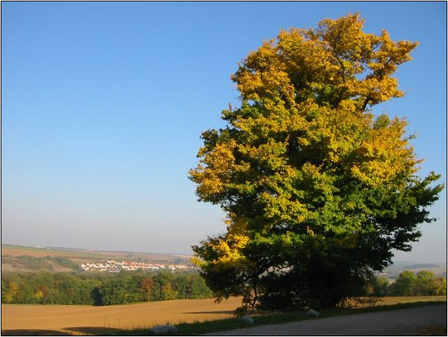 Einstimmung auf den Herbst