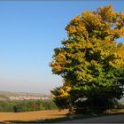 Einstimmung auf den Herbst