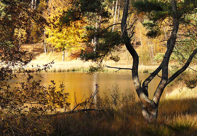 Einstimmung auf den Herbst