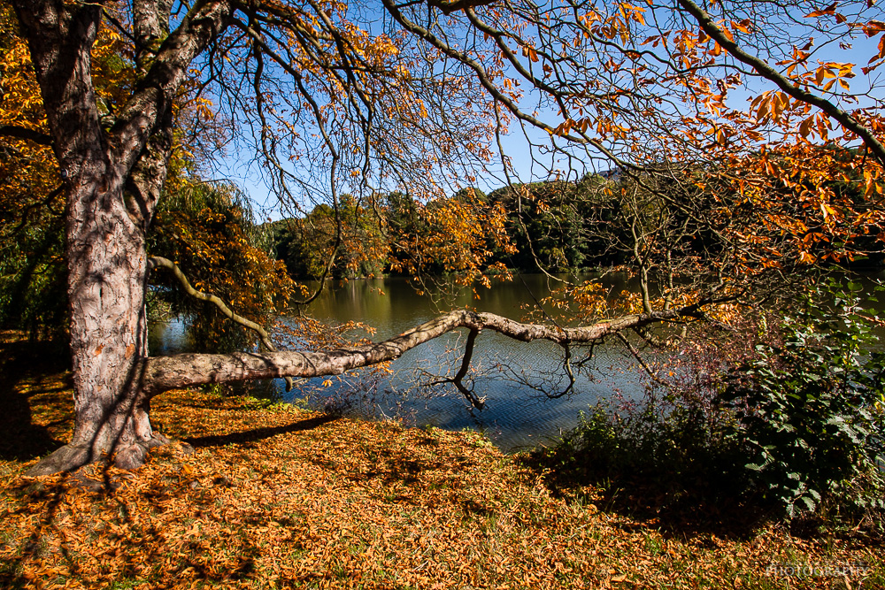 Einstimmung auf einen bunten Herbst