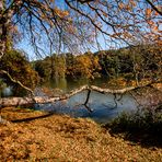 Einstimmung auf einen bunten Herbst