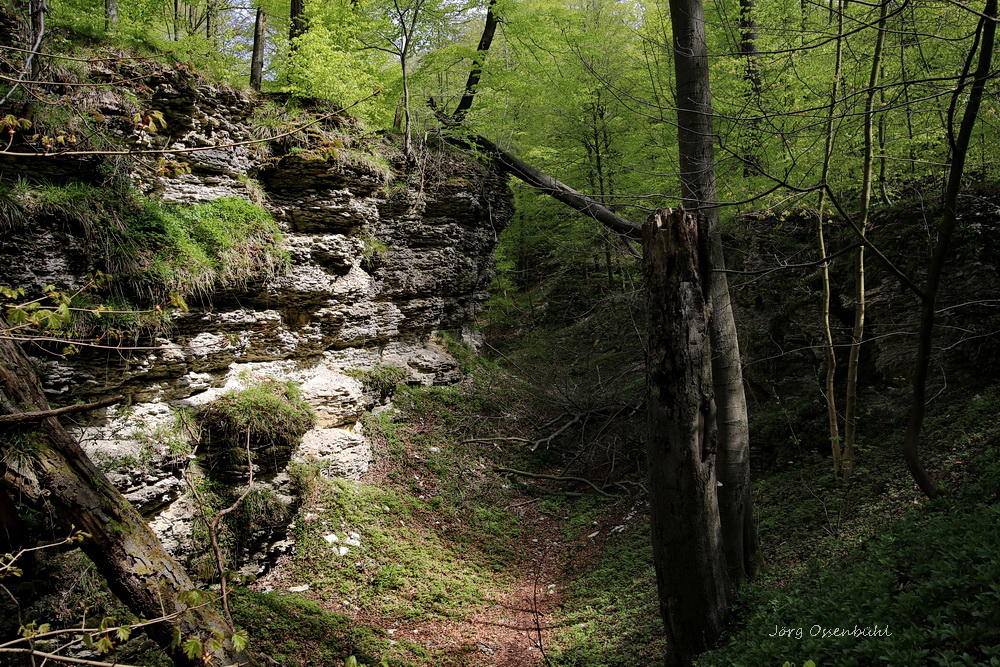 Einsturzdoline “Bielsteinhöhle"