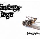 Eintagsfliege