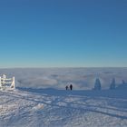 eintauchen in den Nebel