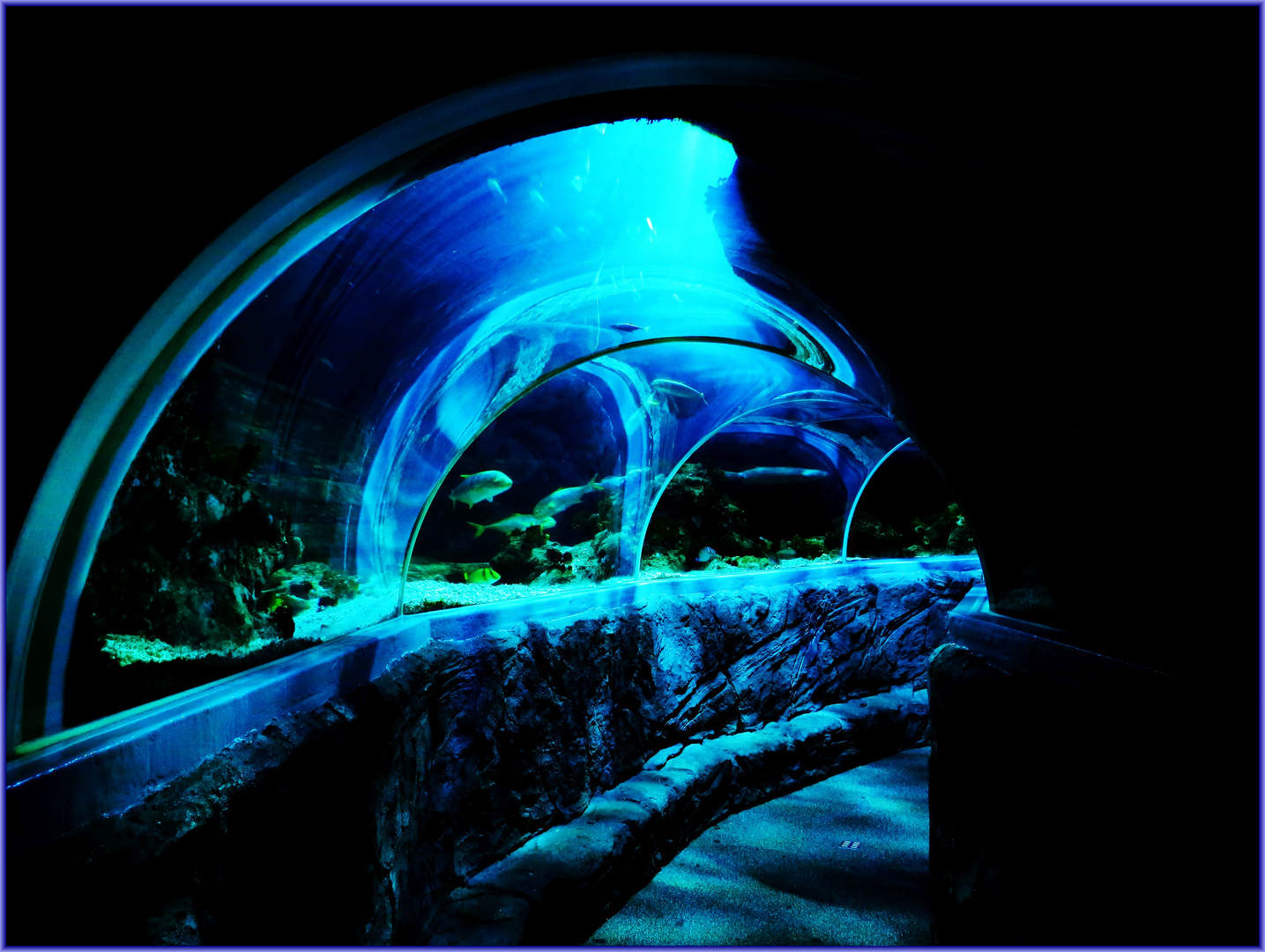 Wie geht es dir? Bilder kostenlos – Eintauchen in die Welt der kostenlosen Bildersuche!