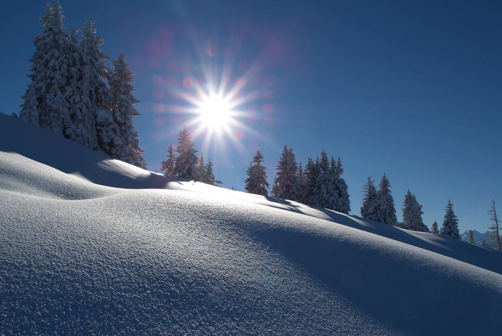 Eintauchen in Sonne und Schnee