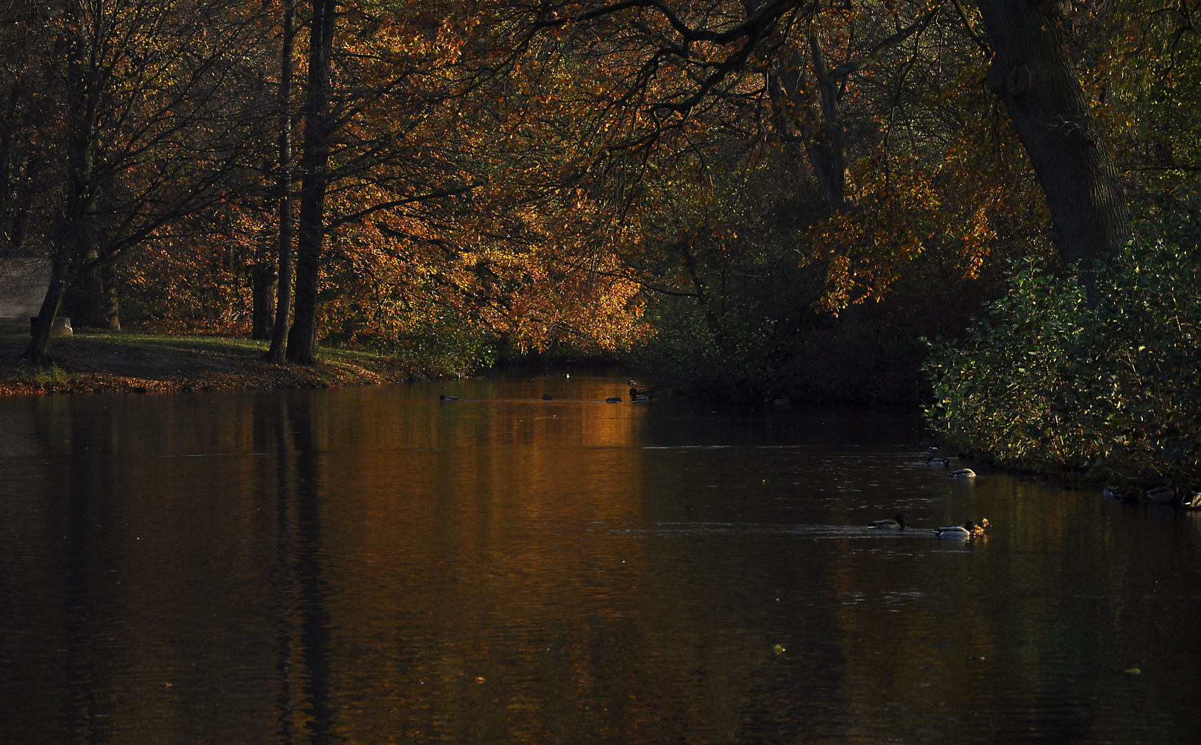 Eintauchen ins goldene Licht