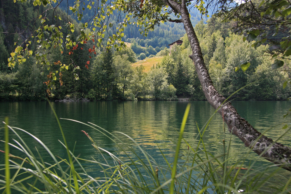 Eintauchen ins Grün