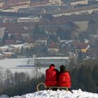 Eintracht auf der Rodel