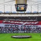 Eintracht Frankfurt mein Verein