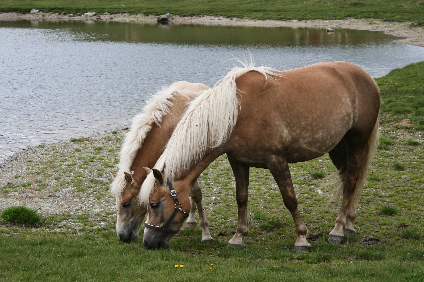 Eintracht (IMG_7320_ji)