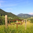 Eintrittskreuz zum Naturpark "Alm"