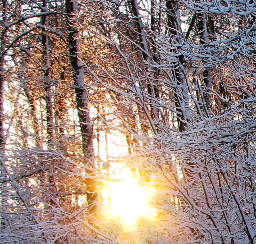 Einwenig Sonne aber sie verzaubert alles 