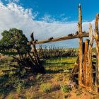 Einzäunung einer verlassenen Ranch in Utah USA