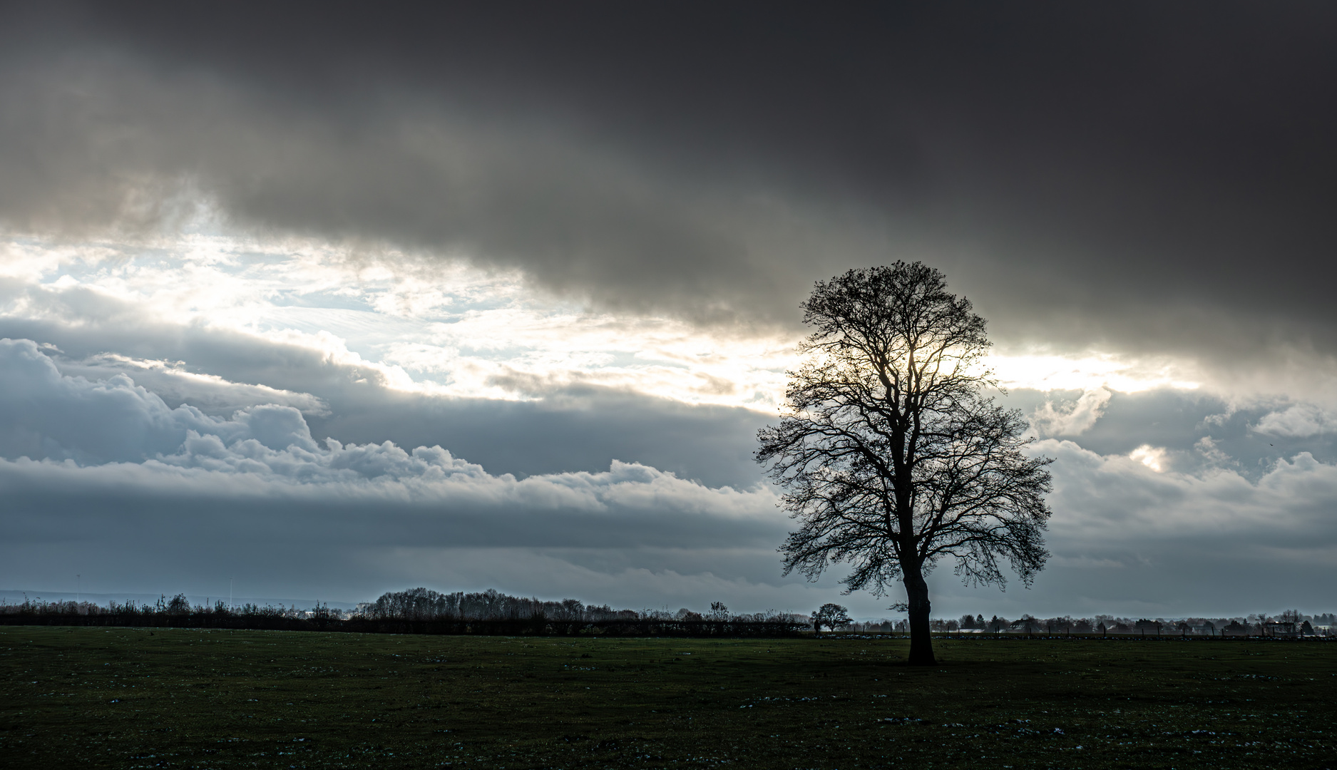 Einzelbaum mit Sonne