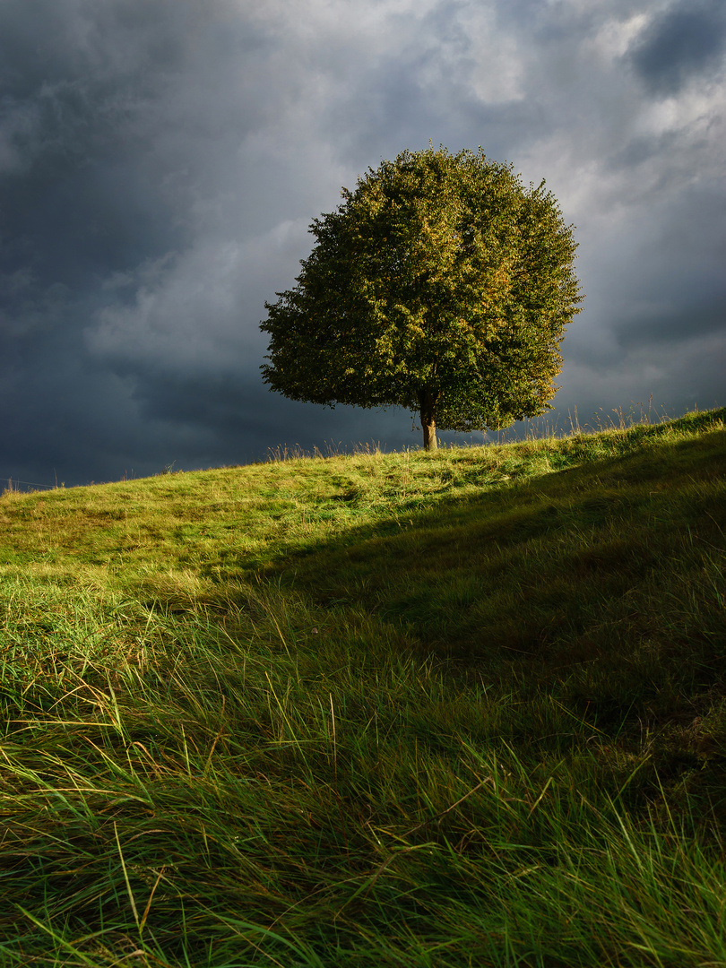 Einzelkämpfer bei Wind und Wetter