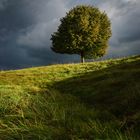 Einzelkämpfer bei Wind und Wetter