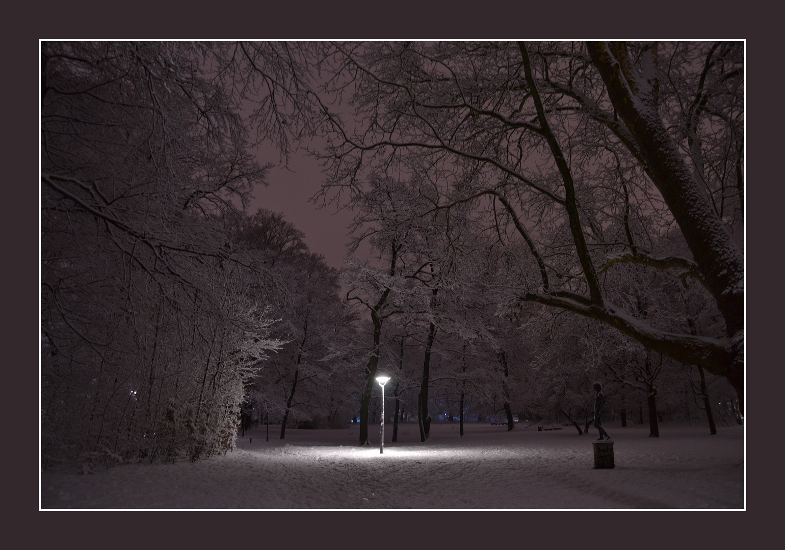 einzeln in der nacht