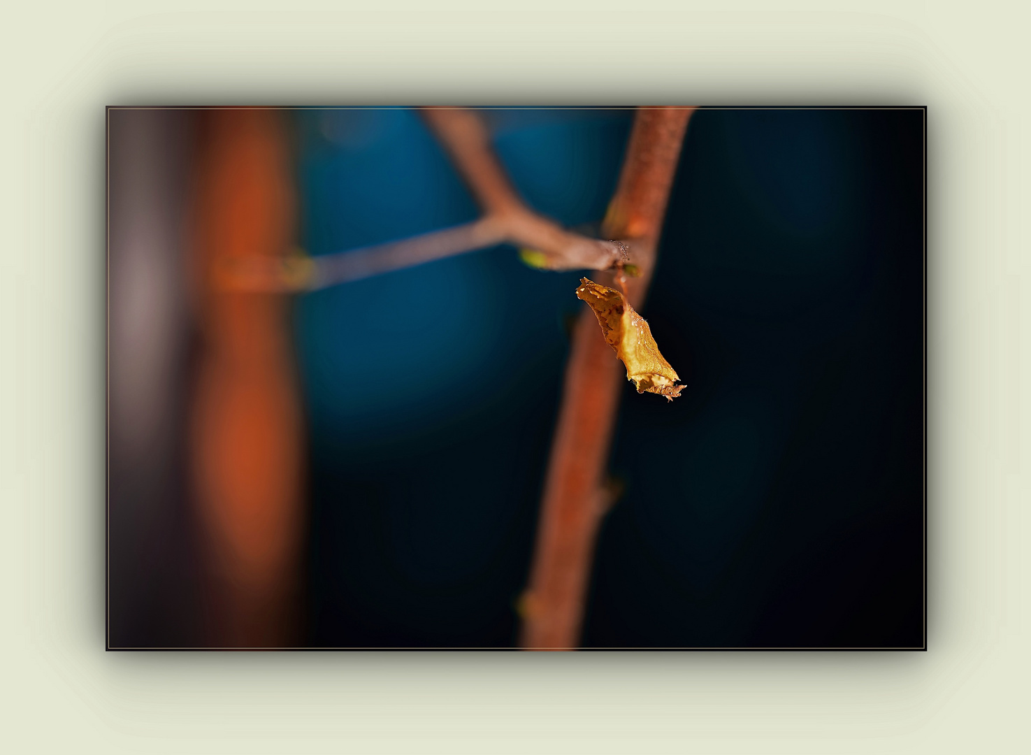 einzelnes Herbstblatt