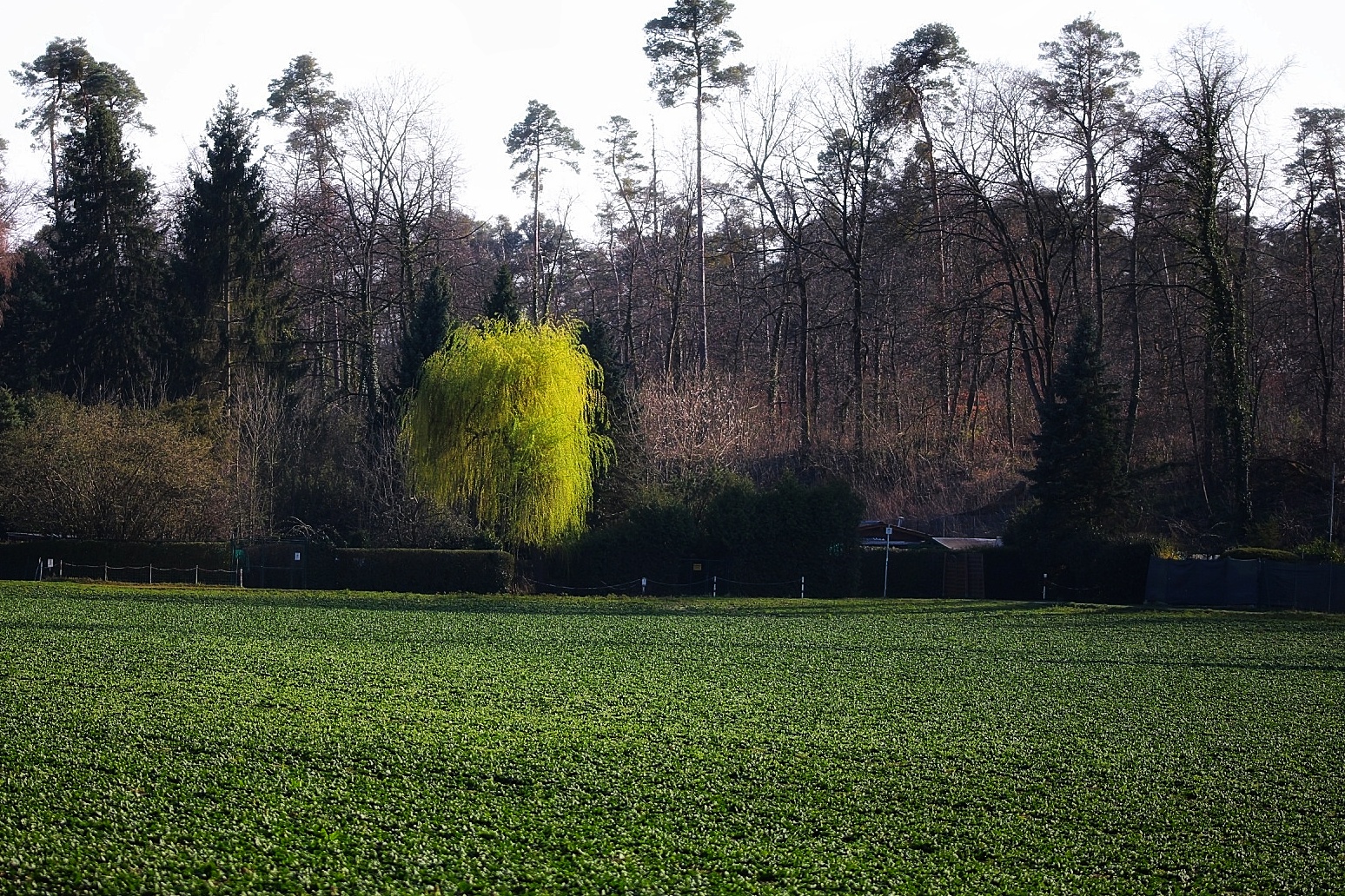 Einzelstück 