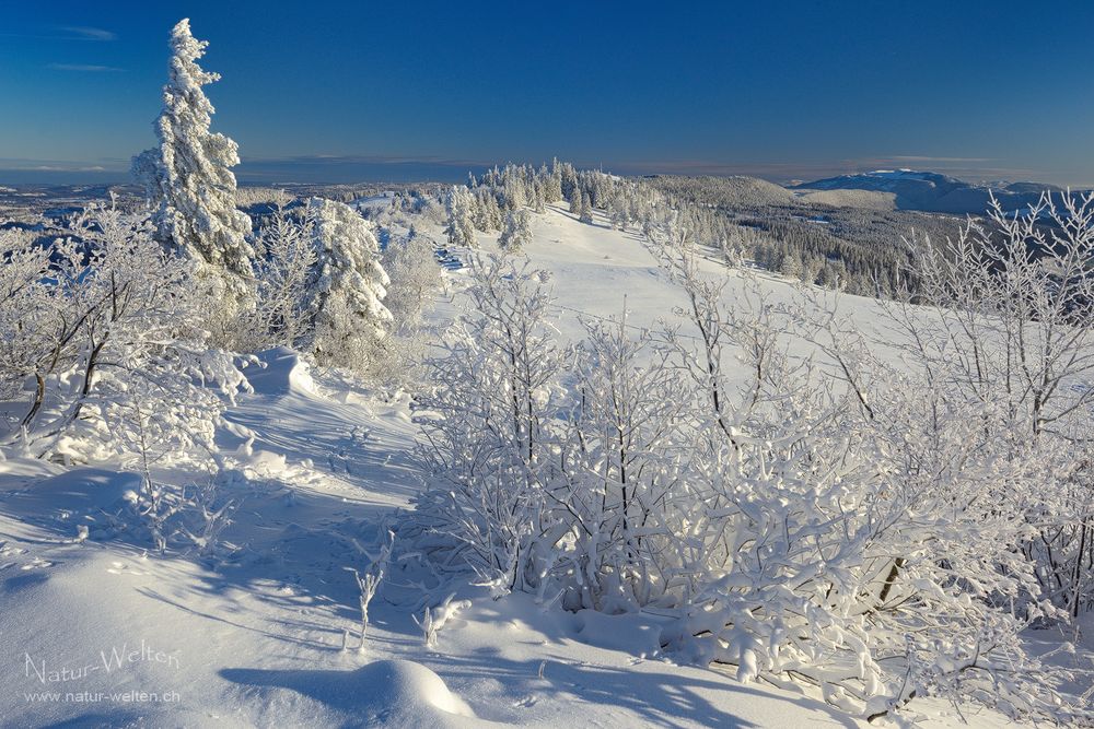 Einzeltage im Winter