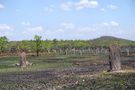 Litchfield National Park