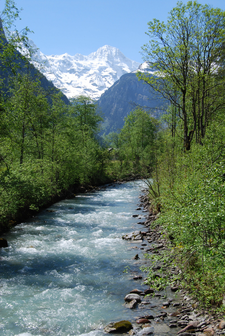 einzigartige natur