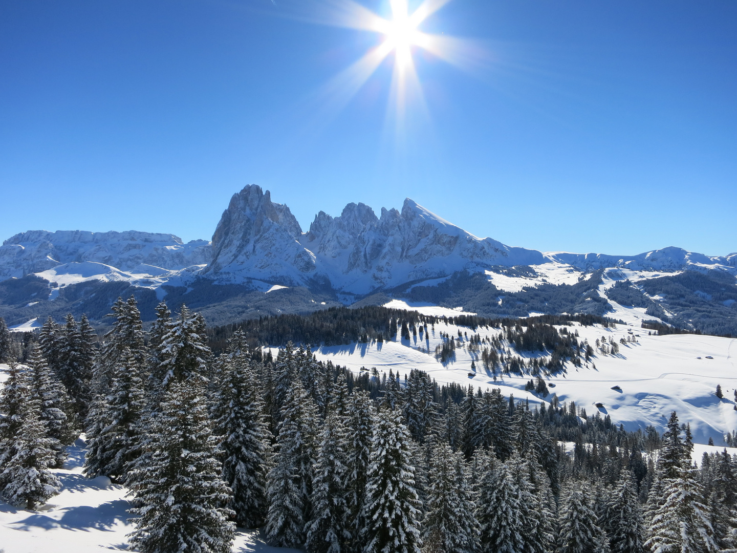 Einzigartiger Ausblick von der Seiser Alm auf den Langkofel