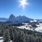 Einzigartiger Ausblick von der Seiser Alm auf den Langkofel