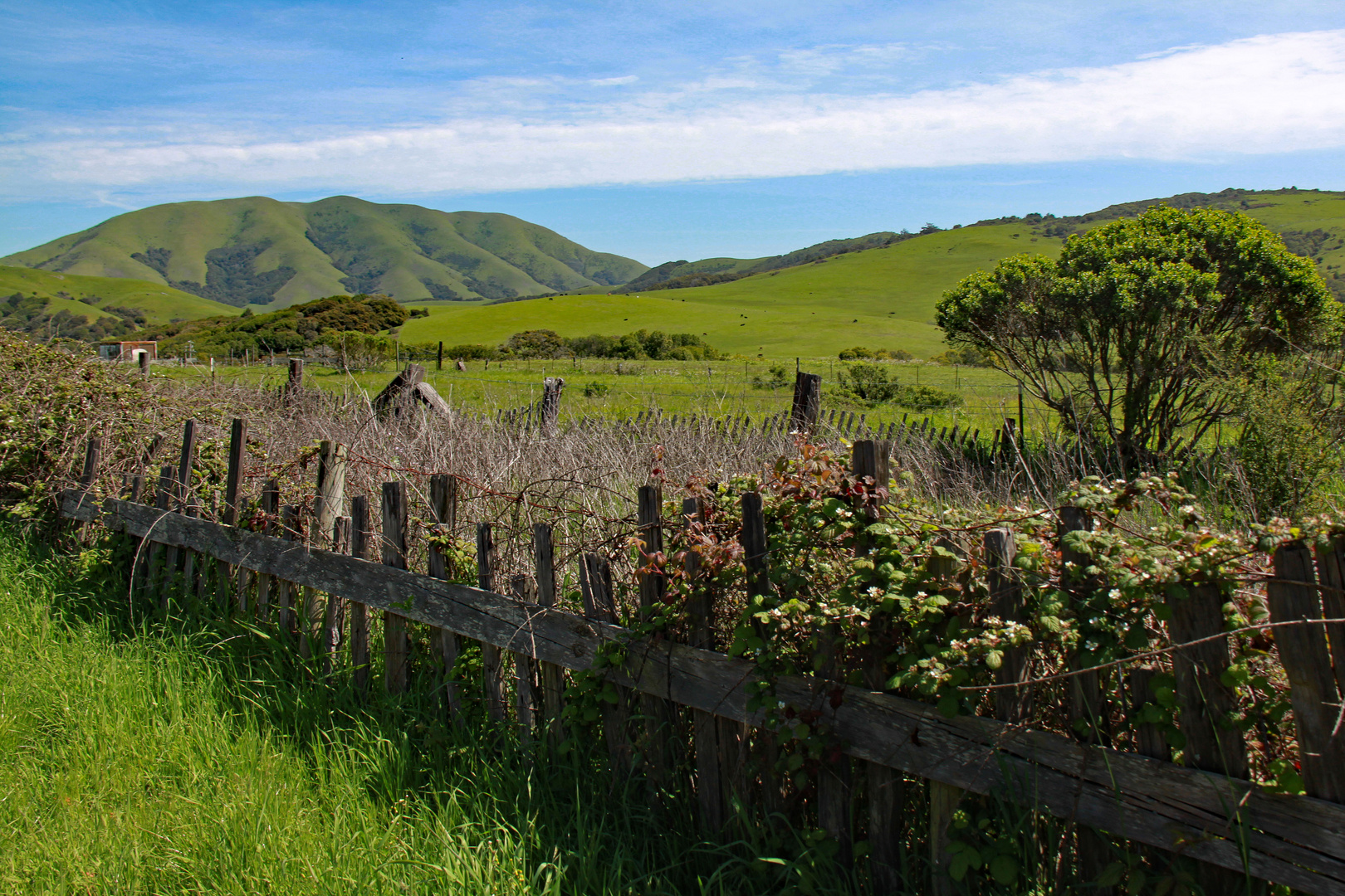 Einzigartiges  County of Marin 