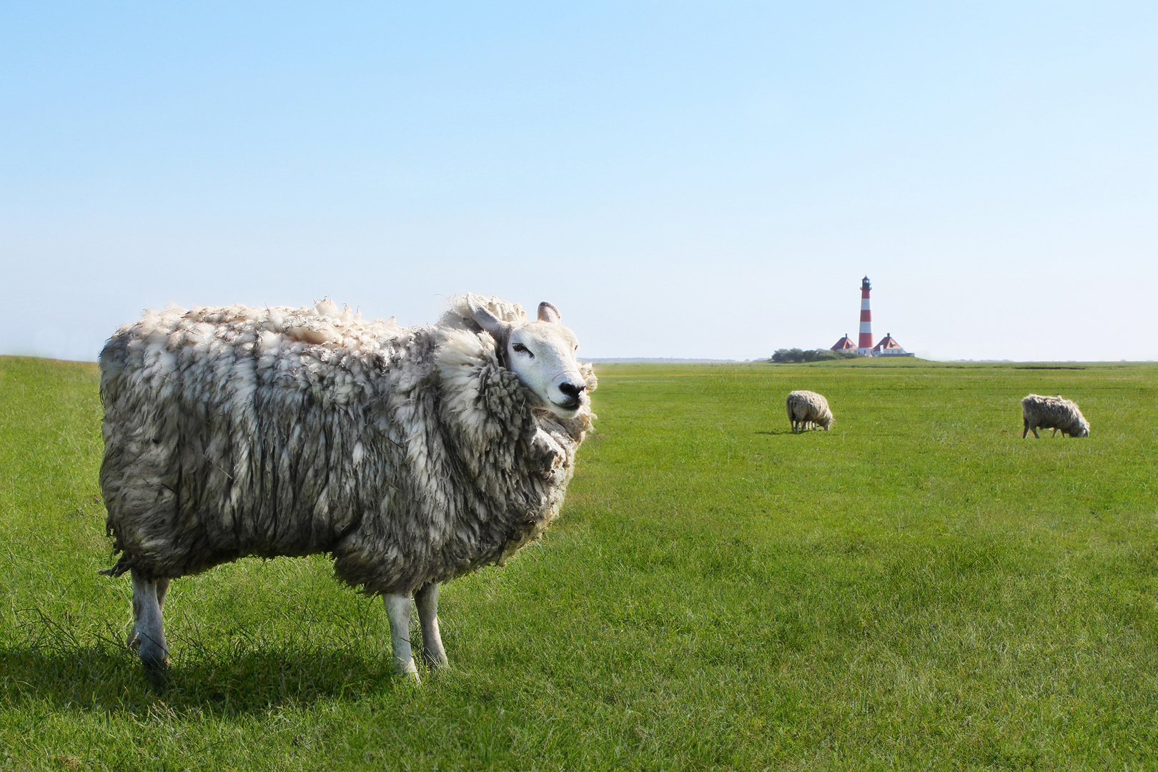 Einzigartigkeit der Nordsee