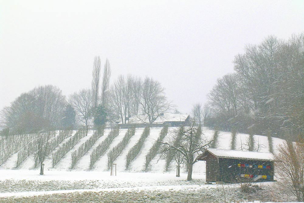 Einzige Farbe Bienenhaus