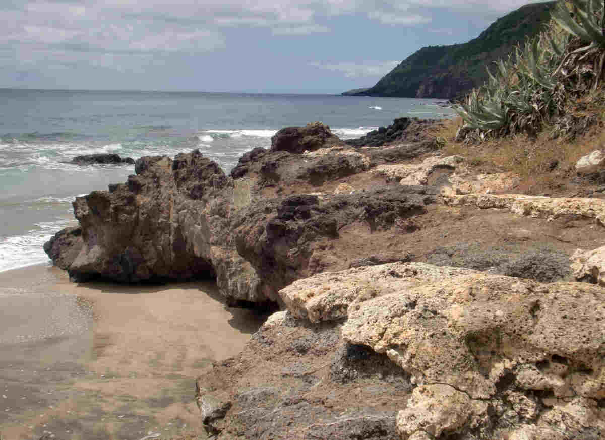Einziger Fossilien Strãnde der Welt auf ozeanischen Inseln