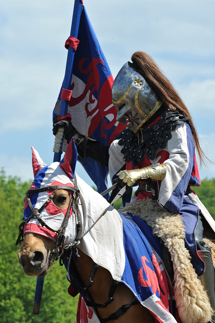 Einzug der Gladiatoren I