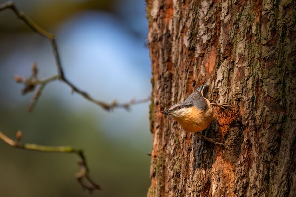 Einzugs-Vorbereitungen