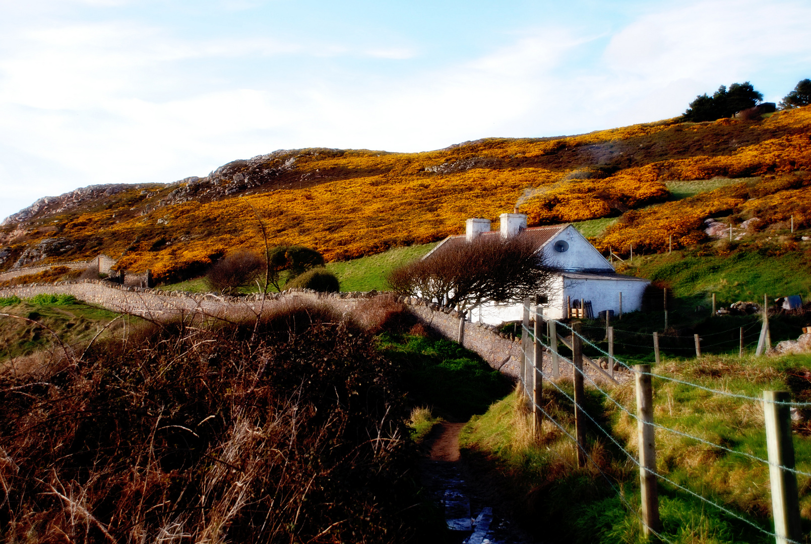 EIRE-Howth- 3