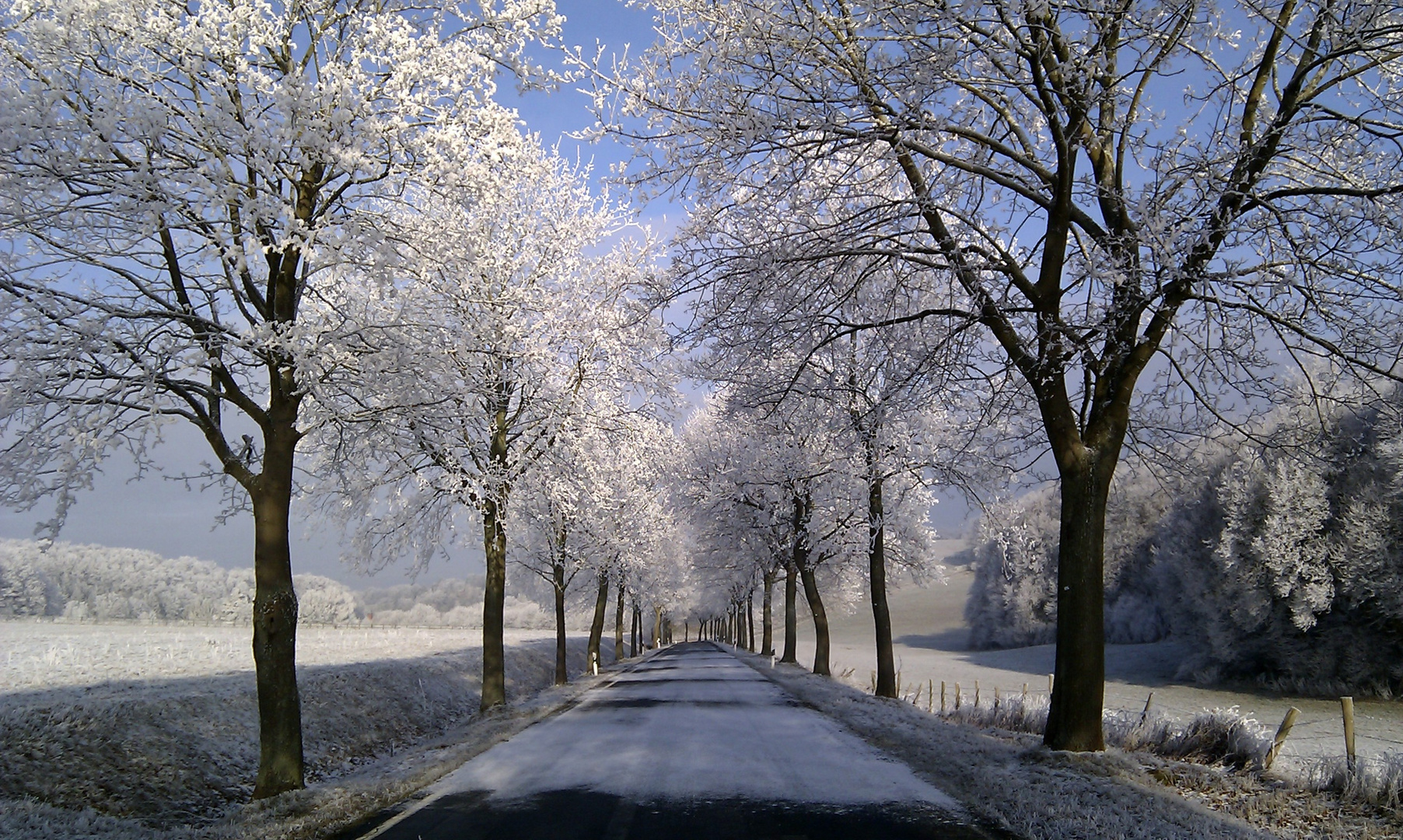 Eis-Allee