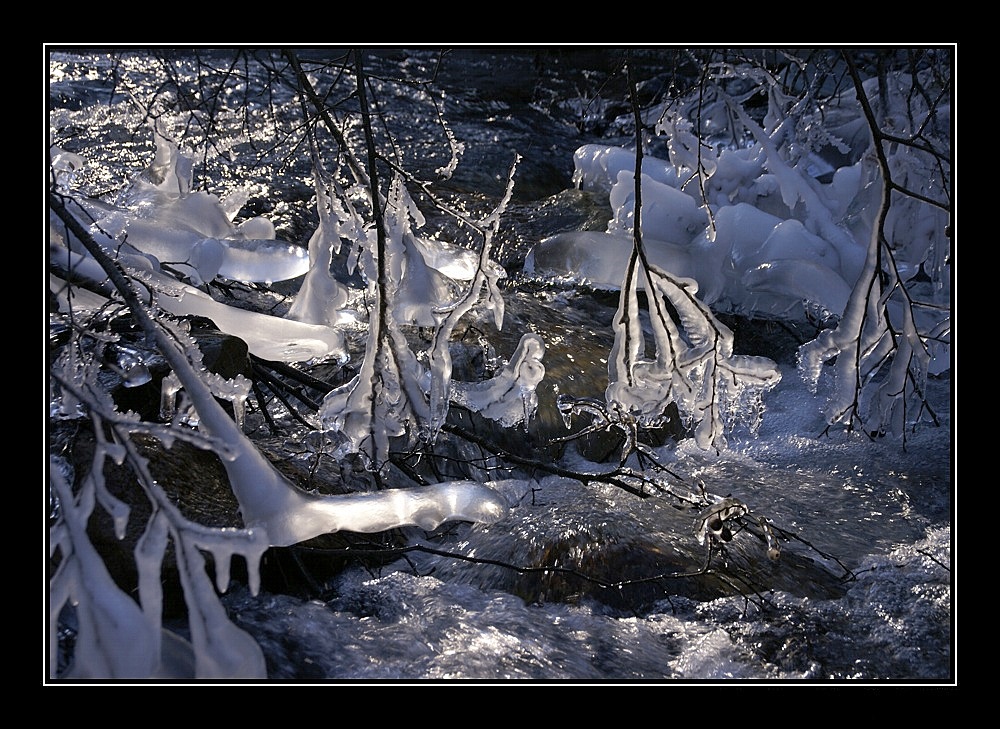 eis am bach von Stephan Wüthrich