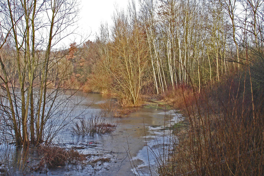 Eis am Baggersee