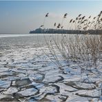 Eis am Bodensee, eisige Aussichten auf der Mainau