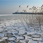 Eis am Bodensee, eisige Aussichten auf der Mainau