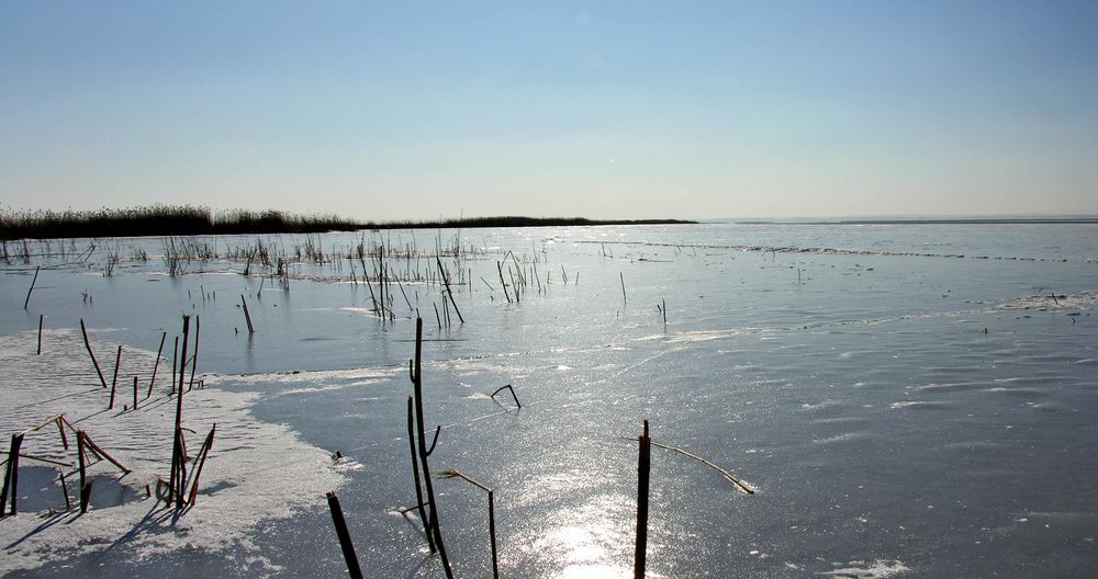 Eis am Neusiedlersee 2