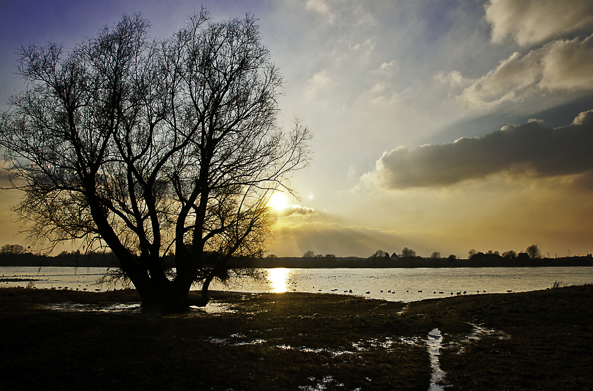 Eis am Rhein V