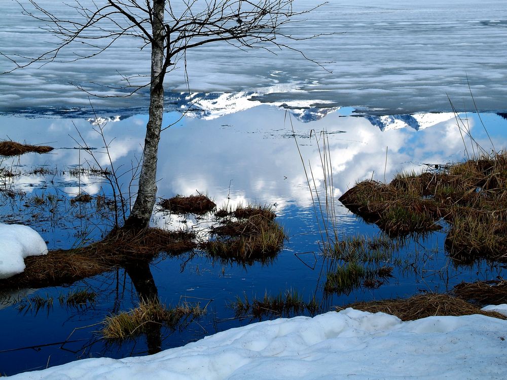 eis am see von Peter Jammernegg 