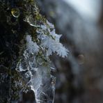 Eis am Stein I