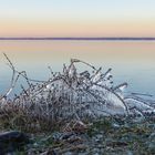 Eis am Steinhuder Meer