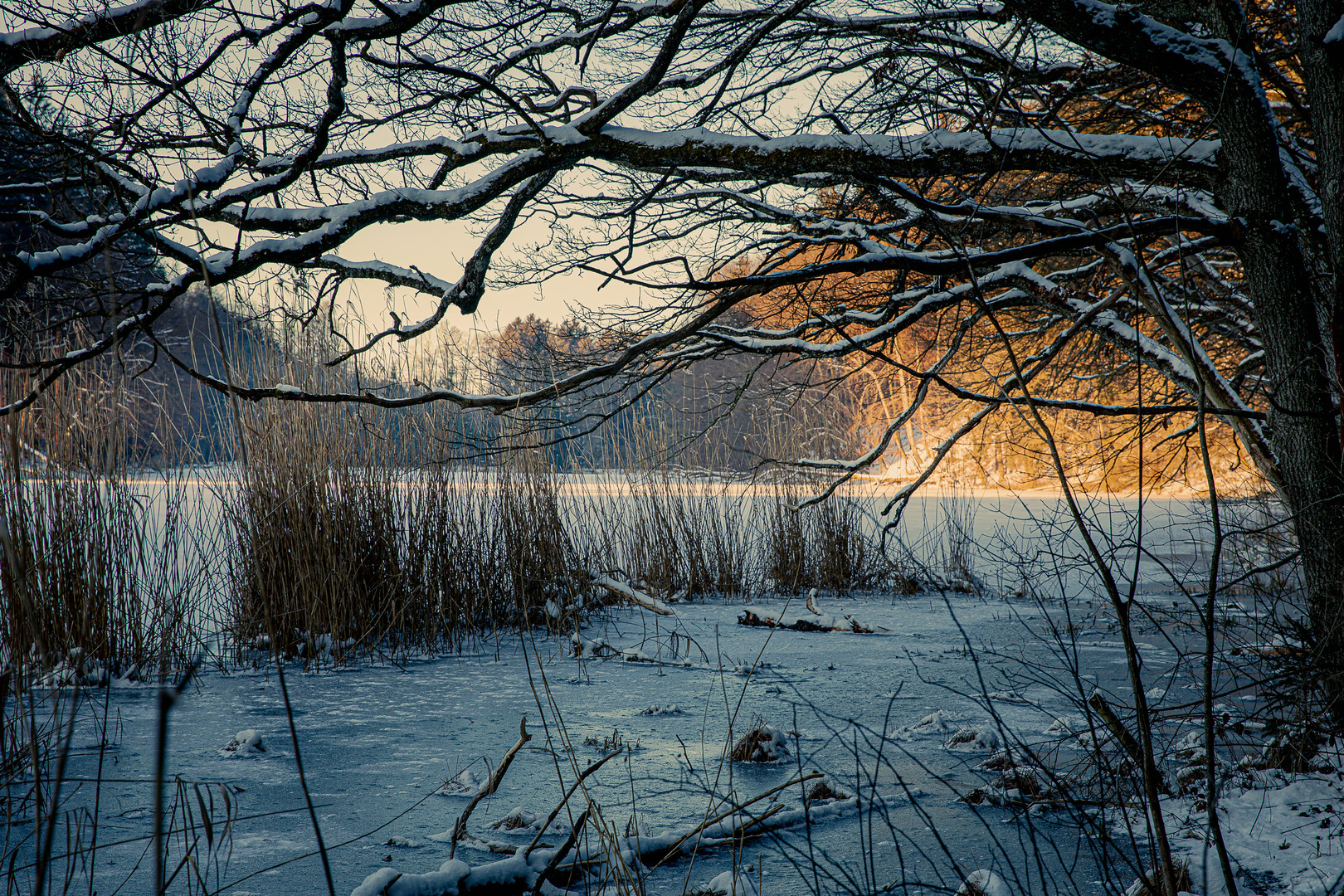 Eis am Thanninger Weiher