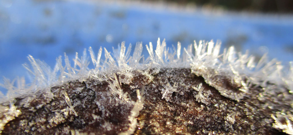  Eis an der Laterne im Garten