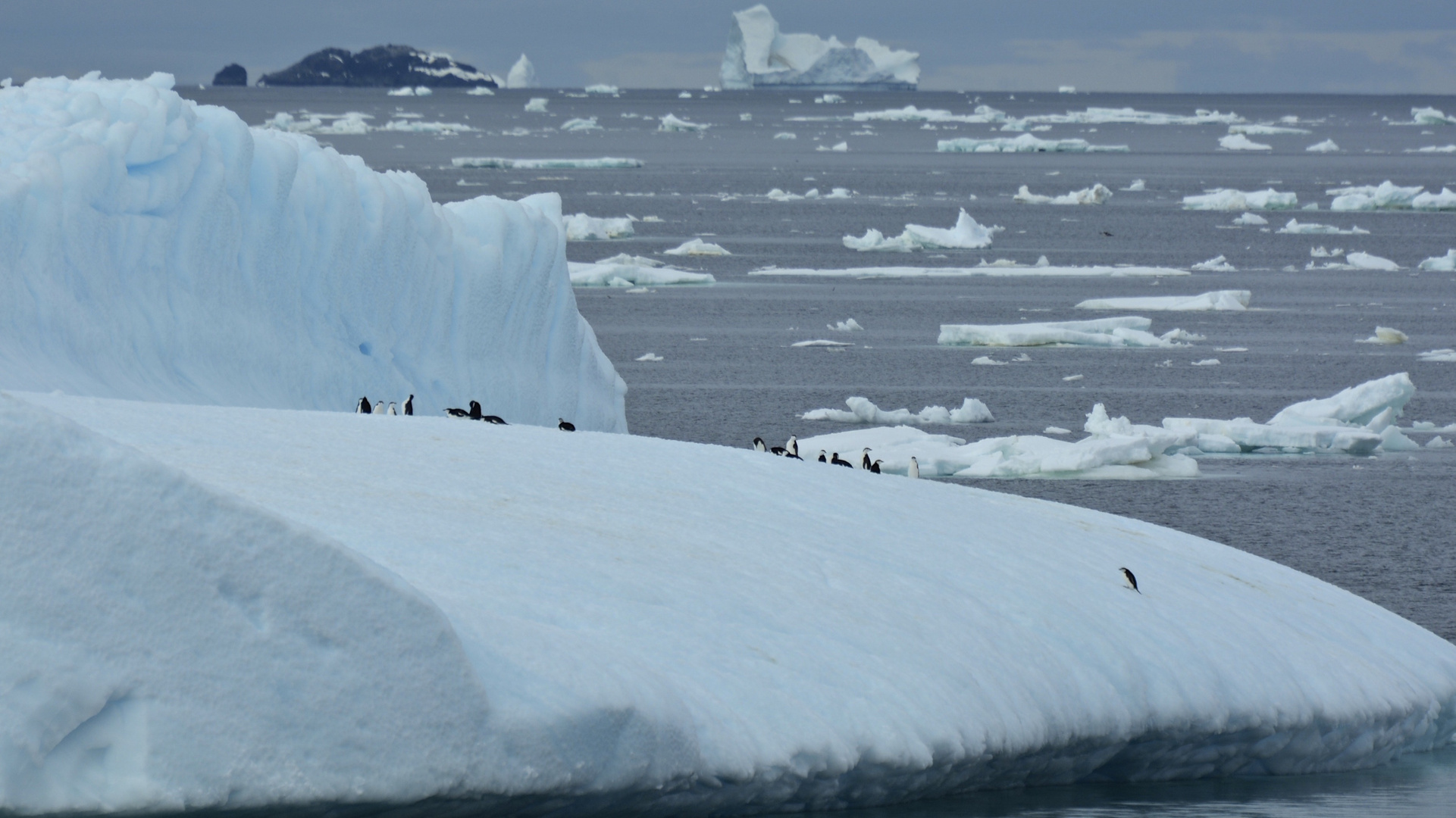 Eis - Antarctica