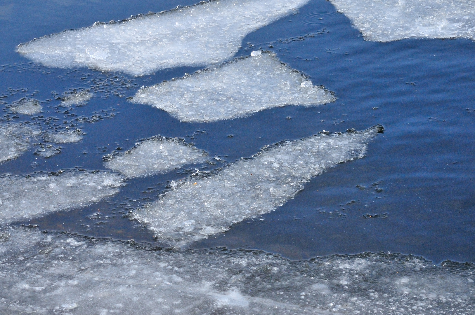 Eis auf dem Albsee